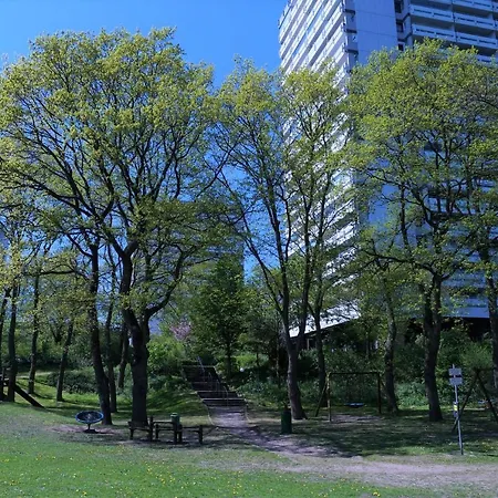 Panoramic App B10-7
